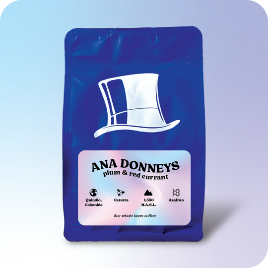 Ana Donneys  |  July 2024