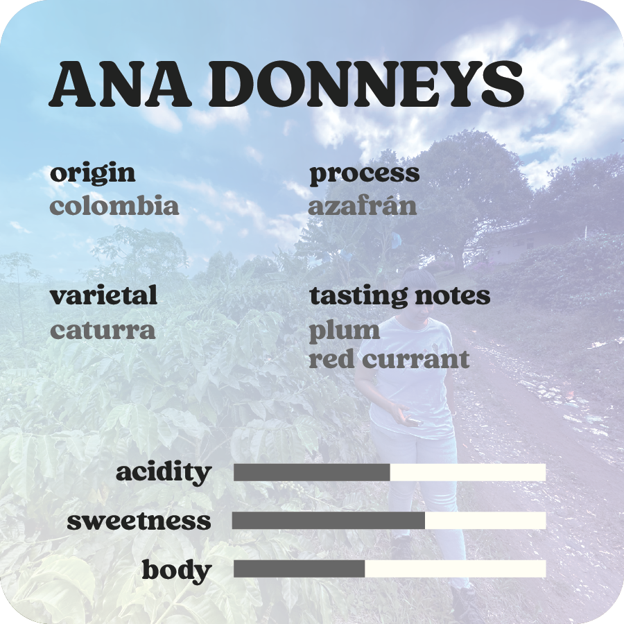 Ana Donneys  |  July 2024