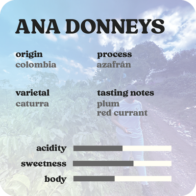 Ana Donneys  |  July 2024