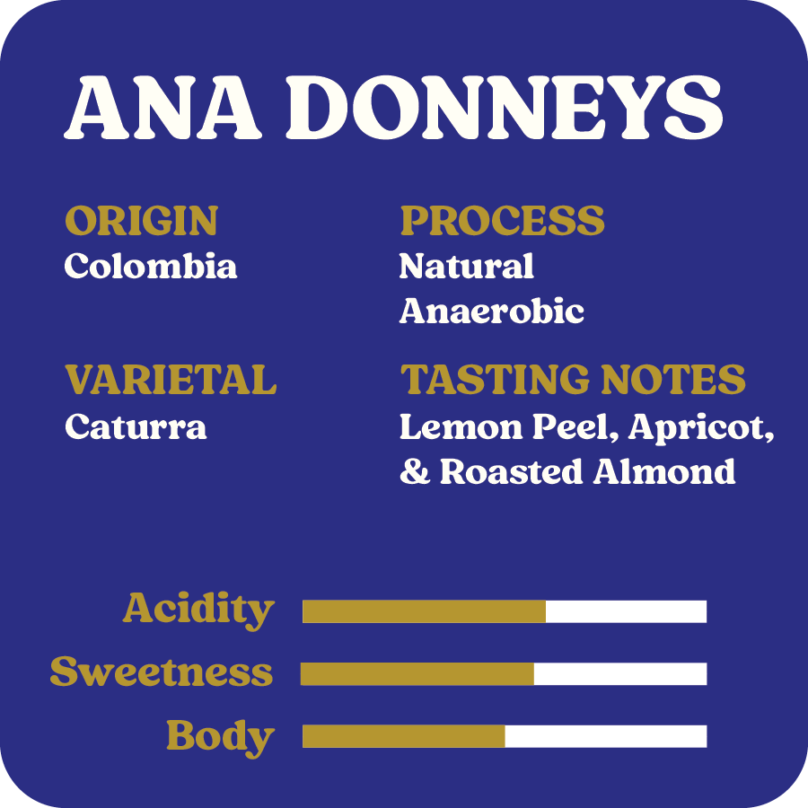 Ana Donneys