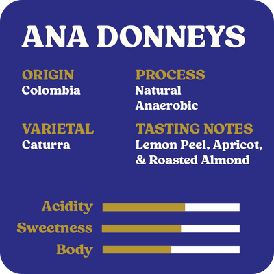 Ana Donneys  |  August 2025