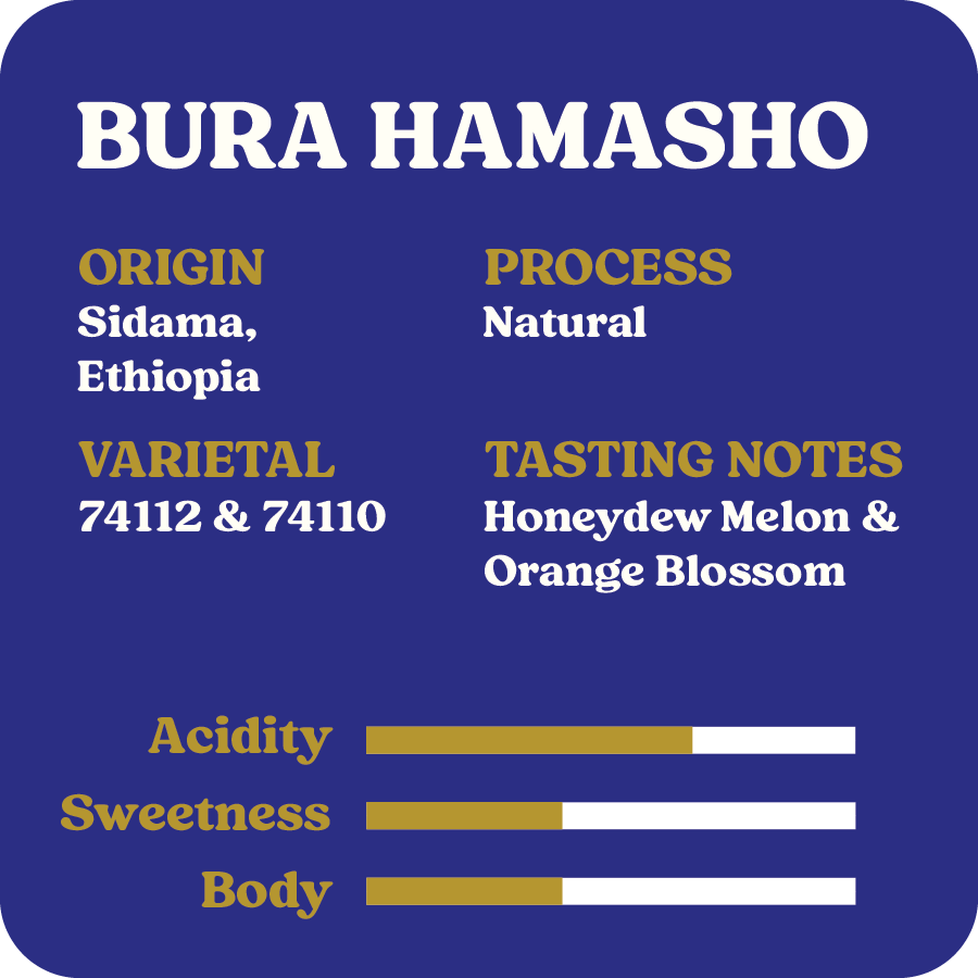Bura Hamasho | April 2026