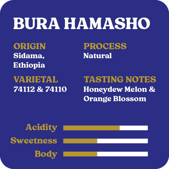 Bura Hamasho | April 2026