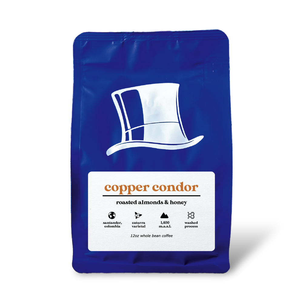 Copper Condor  |  January 2024
