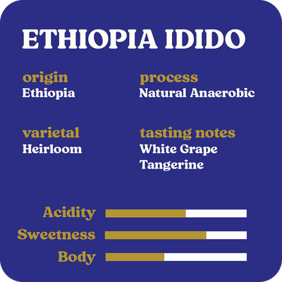 Ethiopia Idido  |  October 2024