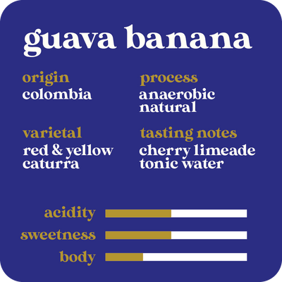 Guava Banana  |  January 2024