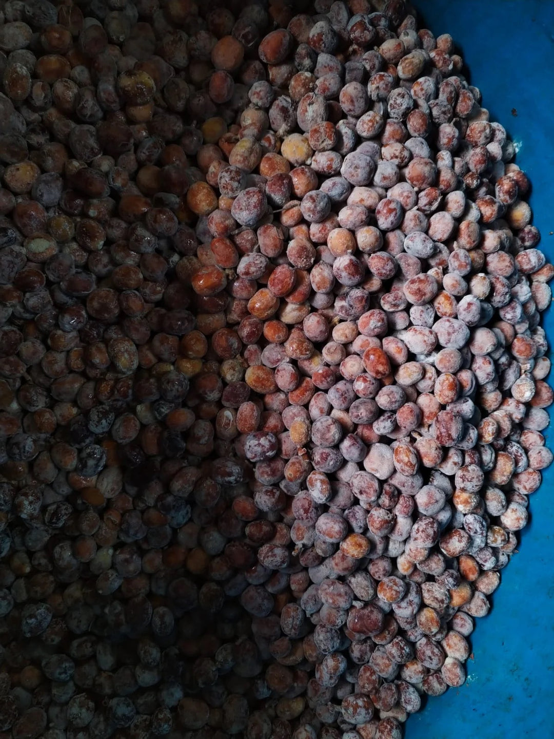 Wush Wush