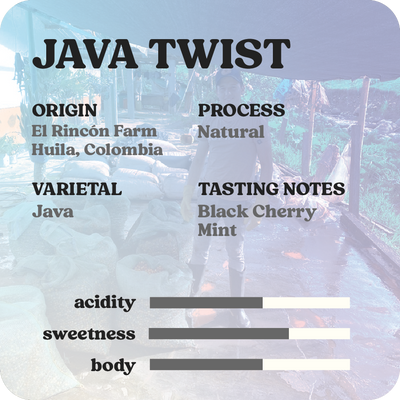 Java Twist  |  September 2025