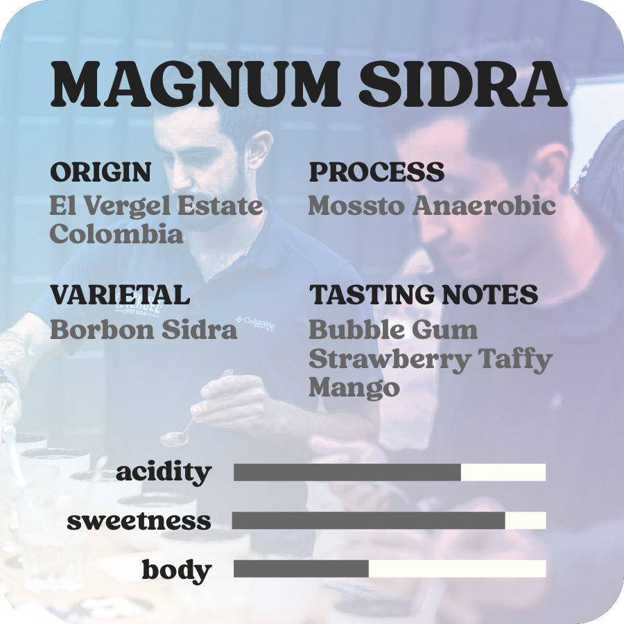 Magnum Sidra