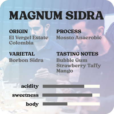 Magnum Sidra  |  September 2024