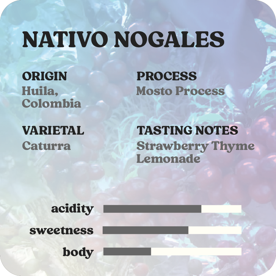 Nativo Nogales