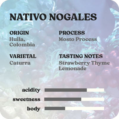 Nativo Nogales  |  March 2025