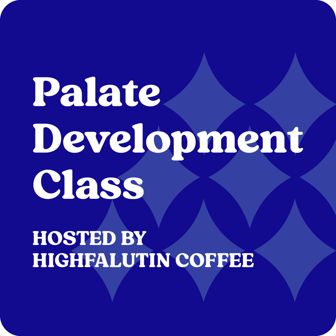Palate Development Class