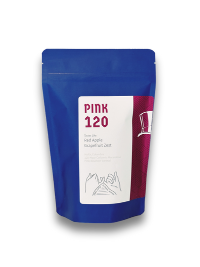 Pink 120  |  August 2023