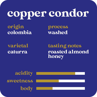 Copper Condor  |  January 2024
