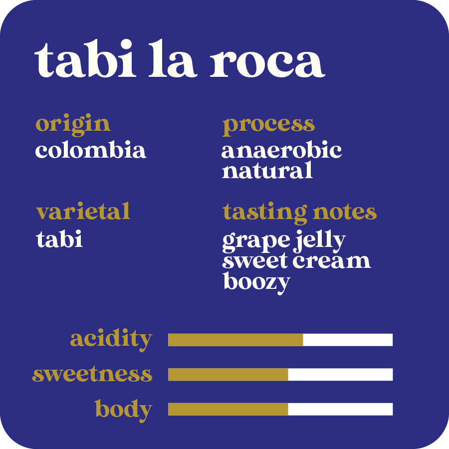 Tabi La Roca