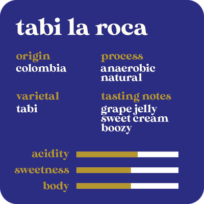 Tabi La Roca  |  January 2024