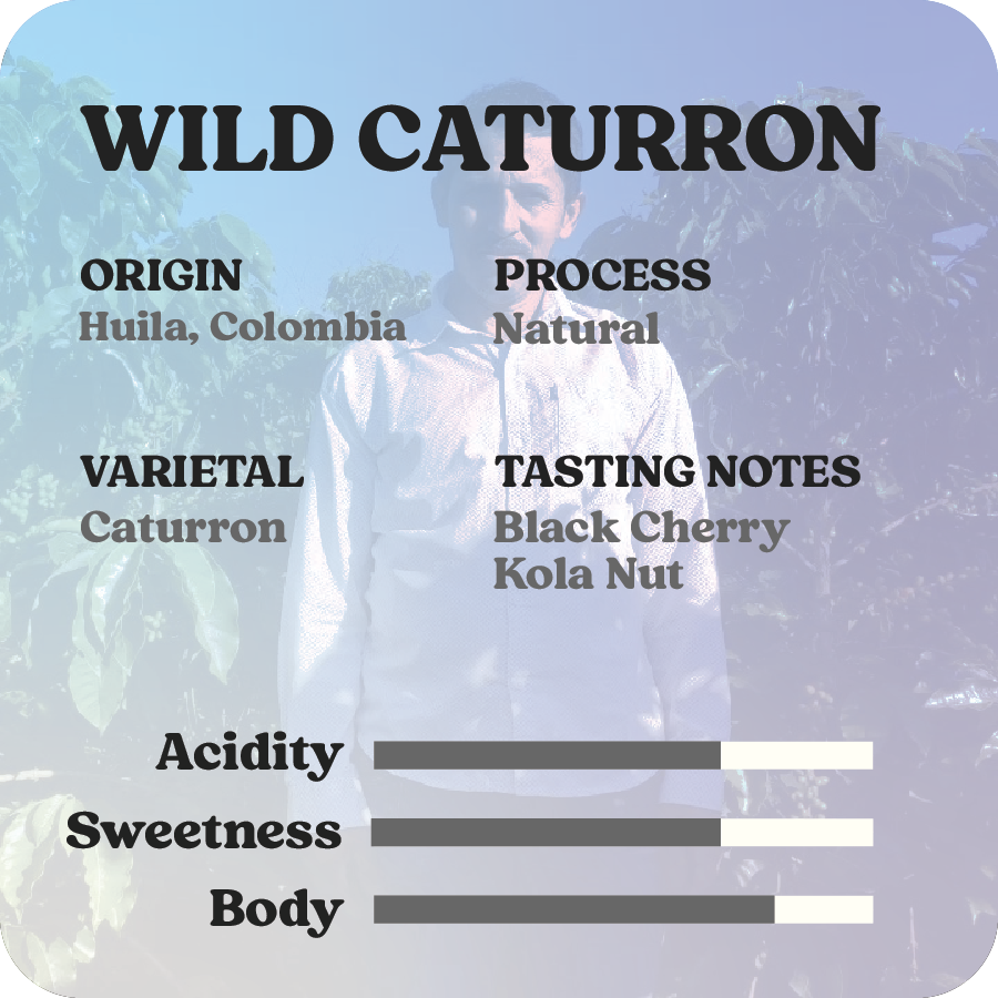 Wild Caturron
