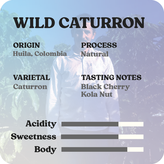 Wild Caturron