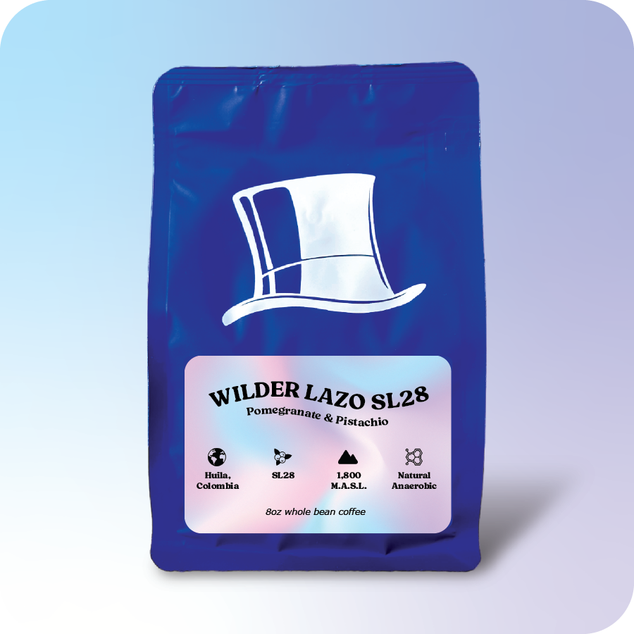 Wilder Lazo SL28  |  January 2025