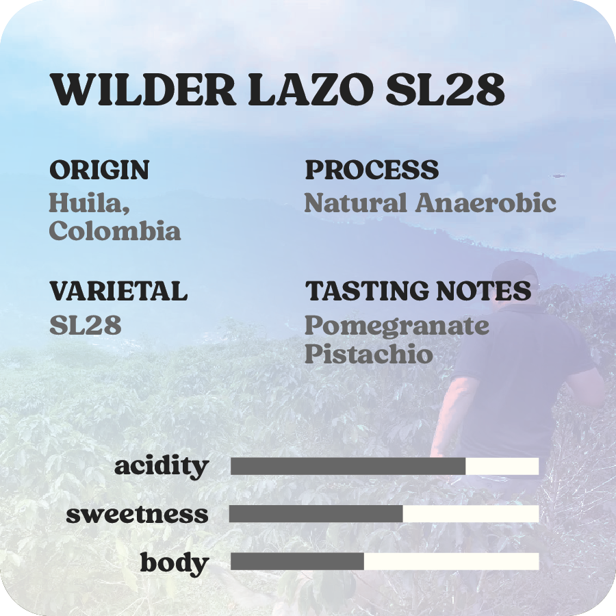 Wilder Lazo SL28