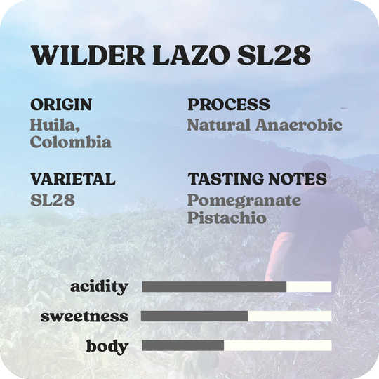 Wilder Lazo SL28