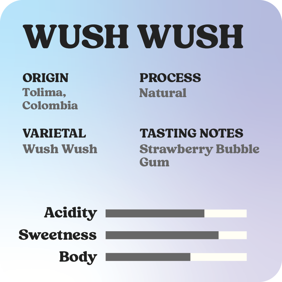 Wush Wush
